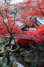 足球比分90大-90分钟狂飙！那些载入史册的足球比分90+奇迹之夜